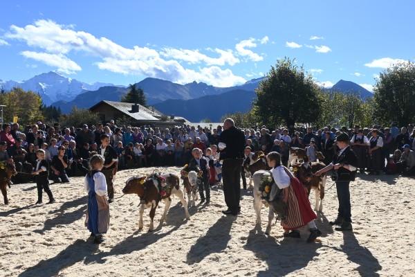 Herbstviehschau Beatenberg