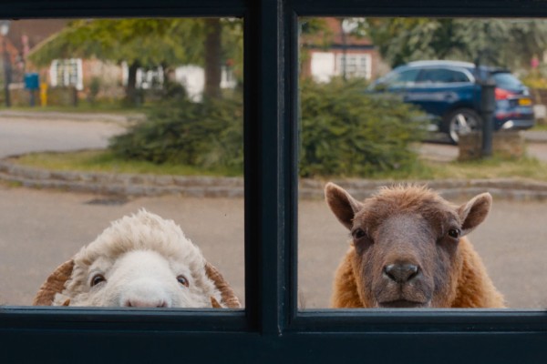Knitting Cinema: Glennkill – A Sheep Crime