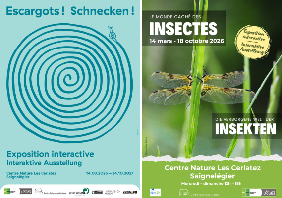 Insects and Snails: Two New Exhibitions at the Nature Center Les Cerlatez