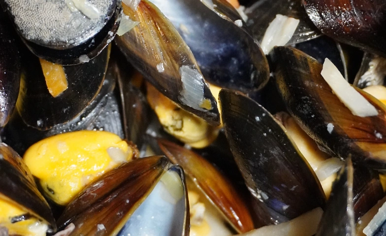 Moules et Frites in der Fischerhütte Zürihorn