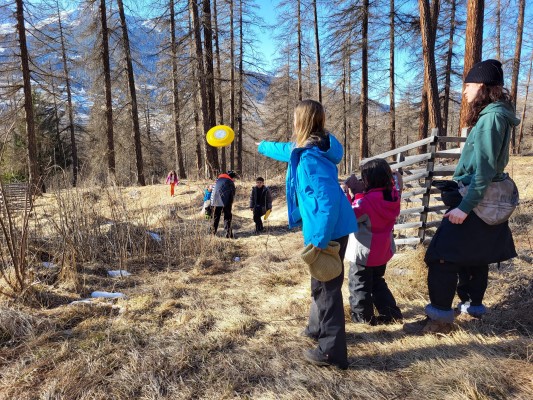 Frisbee Golf