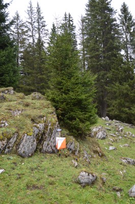 Orienteering Weekend in Sörenberg