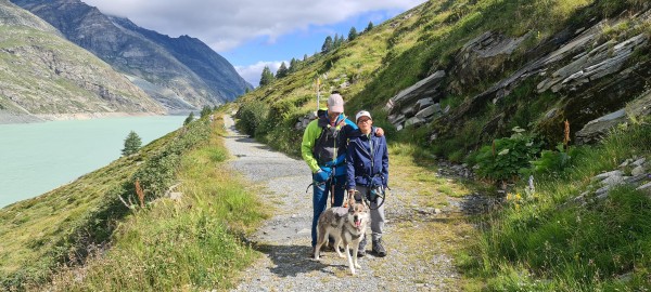 Husky Trekking