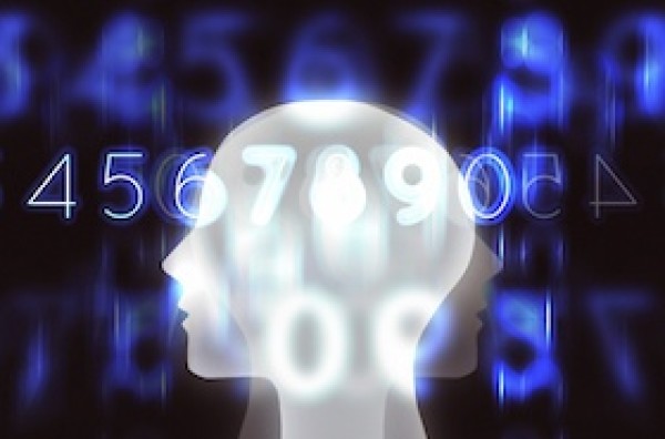 Urania and Berlin Brains on Tour: The Neuro-Abacus - How Mathematics Helps to Understand the Brain