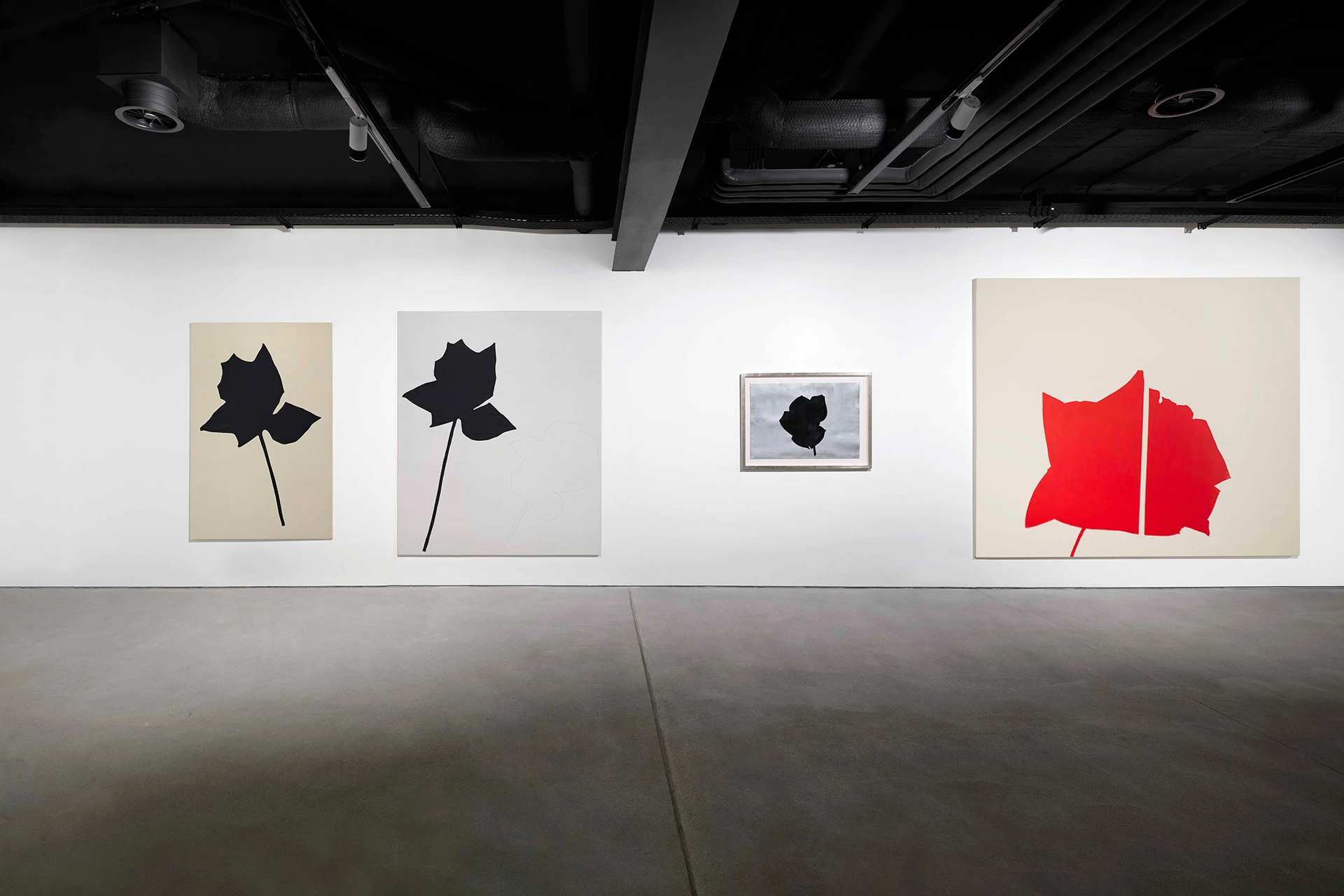 Jannis Kounellis: Io sono un pittore