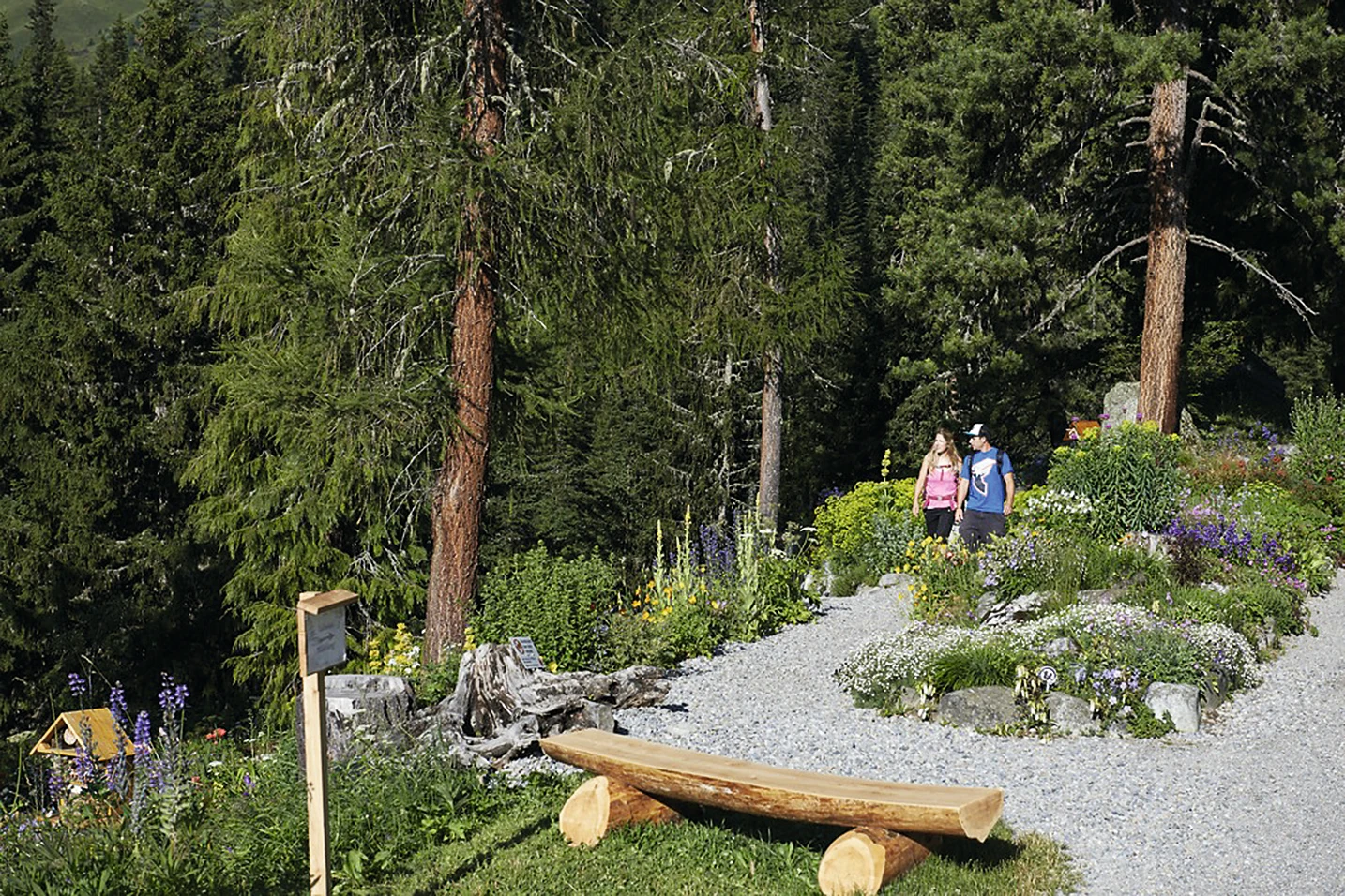 Guided tour of the historic Alpinum Schatzalp