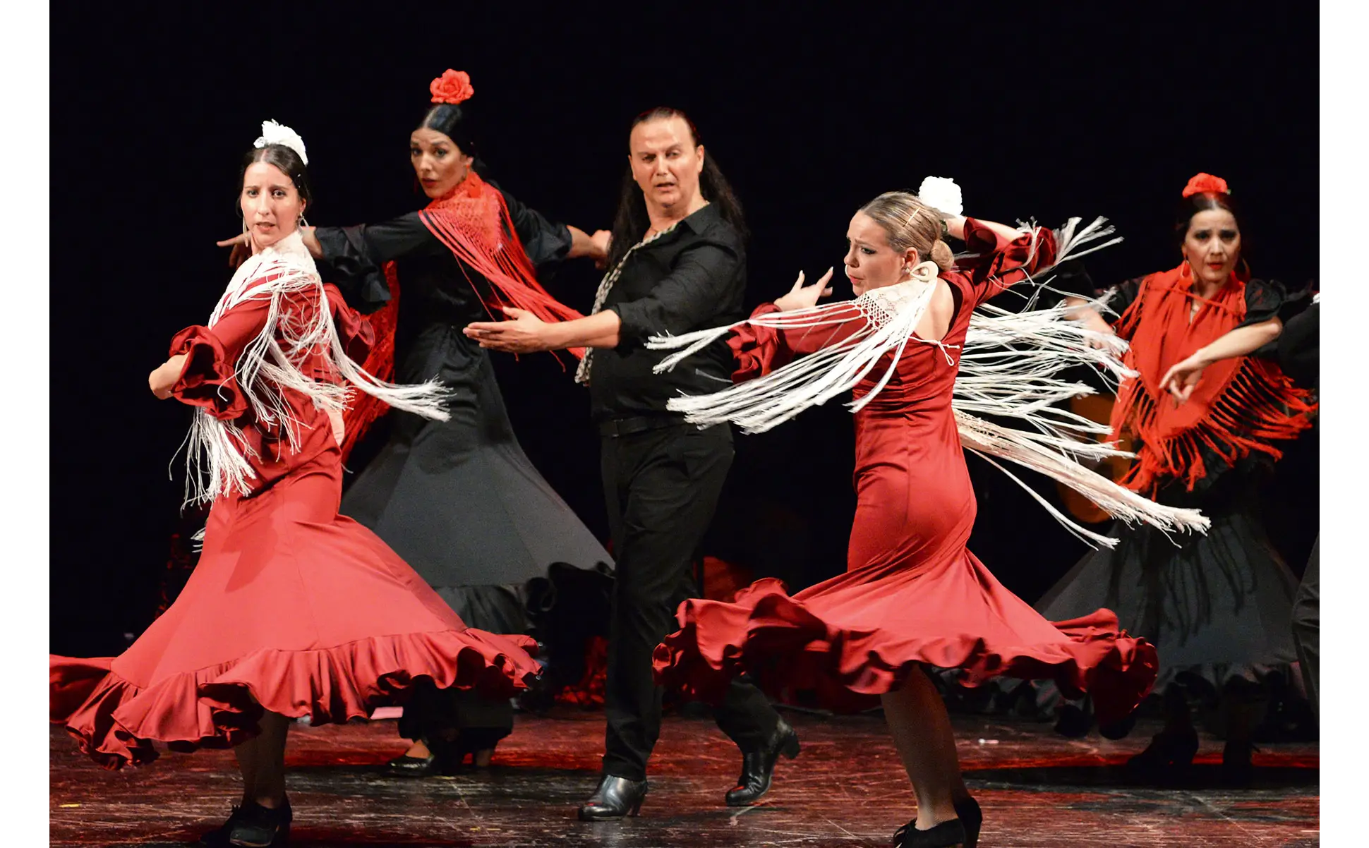 Flamenco con letras de oro - Vide Poche
