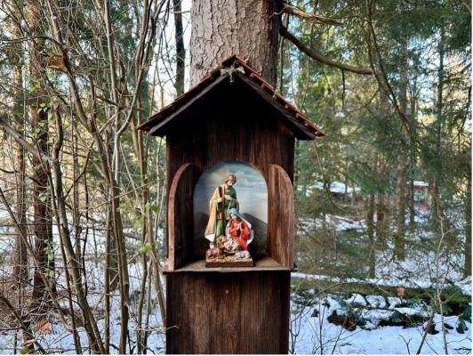 Experience Time: Nativity Trail Schaanwald