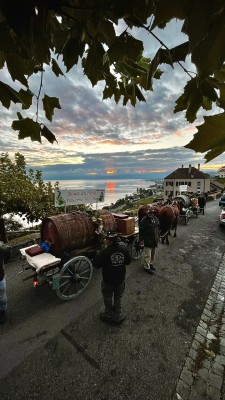 Mercado de Otoño y Ruta del Mosto