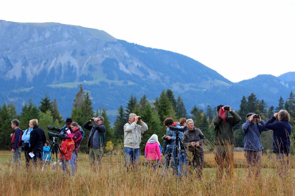 Exkursion EuroBirdwatch