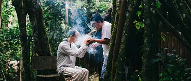 Traditional Amazonian Medicine and Its Use at the Takiwasi Center