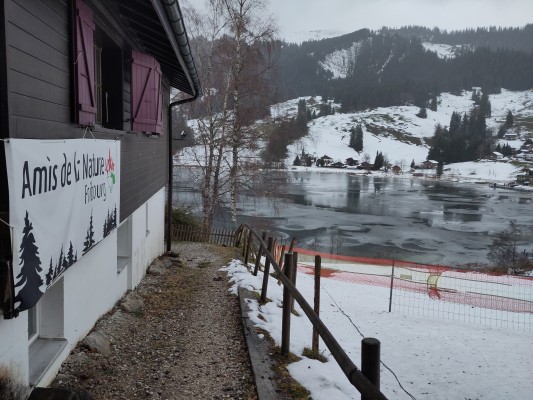 RESILIENCE THROUGH COLD RESISTANCE; Weekend for Ice Bathing and Much More