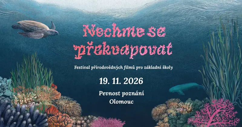Nechme se překvapovat