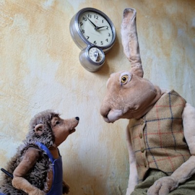 Hase & Igel - Augen auf beim Dauerlauf