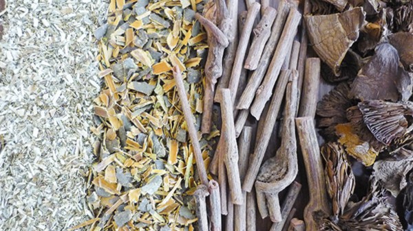 Scents of the forest: dyeing with mushrooms and lichens