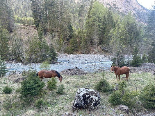Western camps for teenagers