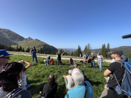 Journey to the South - Migratory Birds in Gurnigel