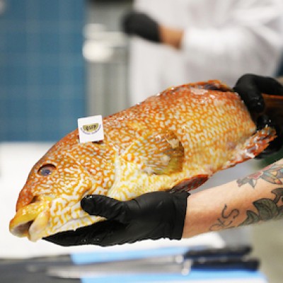 Kitchen Craft - Fish Filleting Course with Cookbook Author Gabriel Arendt