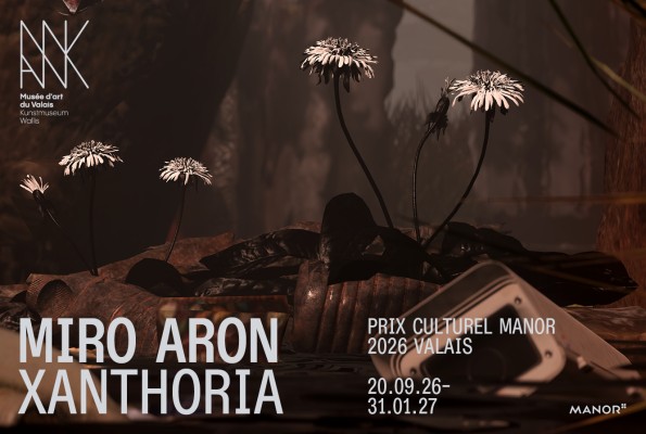 Miro Aron. Xanthoria