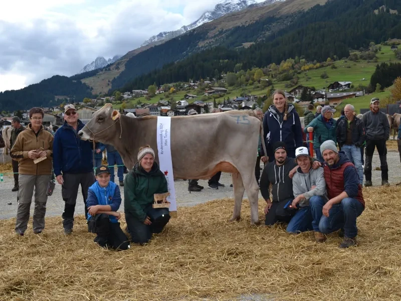 Exposition bovine / Exposiziun da genetschas in Brigels