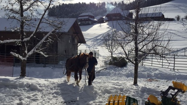 Christmas Days on the Farm