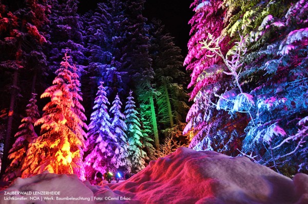 Lenzerheide Magic Forest