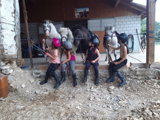 Pony - Cours d'initiation