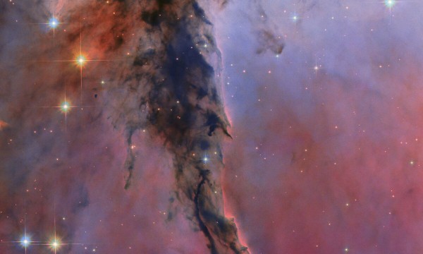 Conference: The Fascination with the Starry Sky