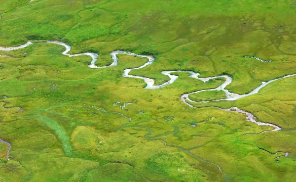 The murmur of the water