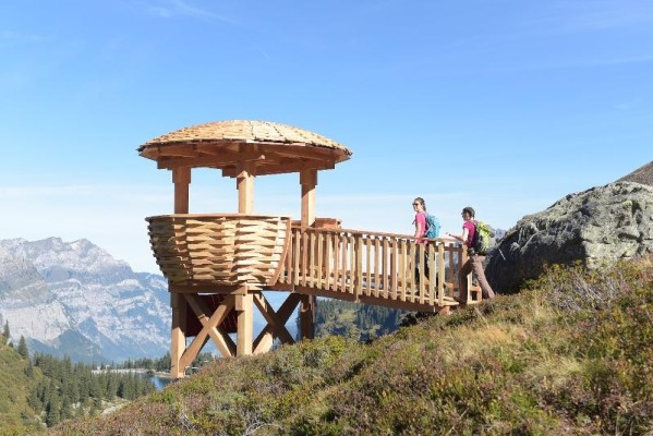 Guided Wildlife Observation on the Mettmen Alp