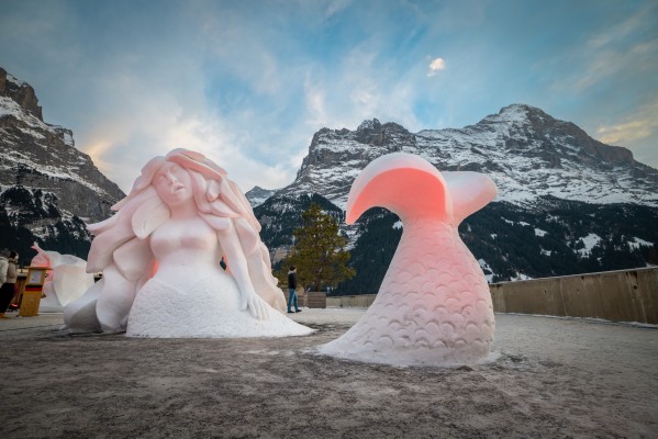 41st World Snow Festival
