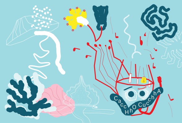 Exhibition | Im kollabor: Mercedes Azpilicueta. CaccHho CucchhA