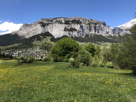 Geological and Historical Hike in the Ancient Beech Forest