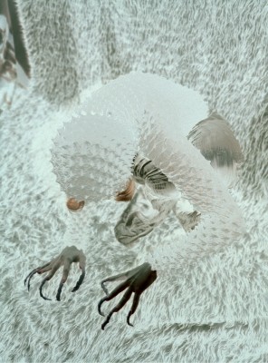 Schattenwesen – Von der Geisterfotografie zu den Phantomen des Algorithmus