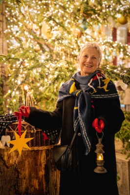 Public Themed Tour «Advent Stroll Thun»