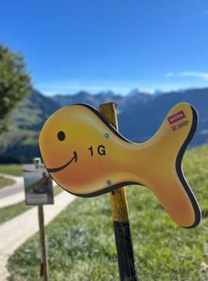 Recherche de Goldfish sur la Marbachegg