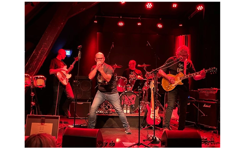 LIVE-Konzert: DAMPFKAPELLE