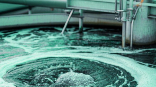 Urban Wastewater as an Important Future Source of Nitrogen