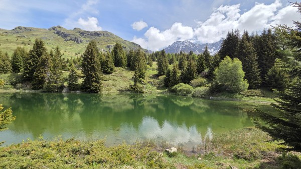 Guided hike "Pensa - Alp Flix"