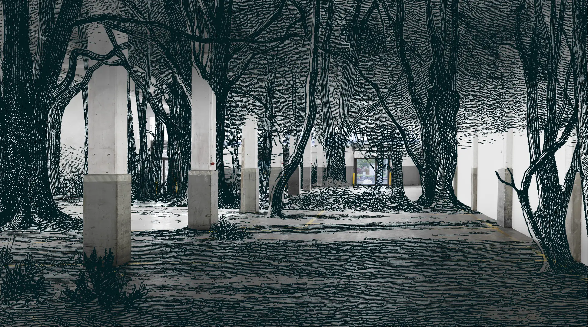 The Integral Forest, 5 concerts - Monteverdi