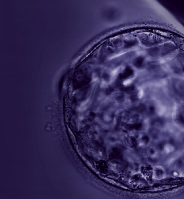 When We Were Still Trees - 3rd Subscription Concert
