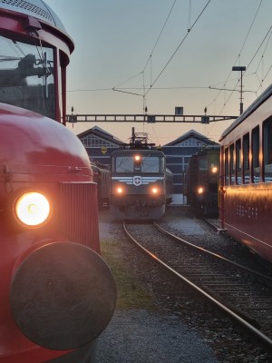 Alder & Bahn - an exhibition on model making and railroads