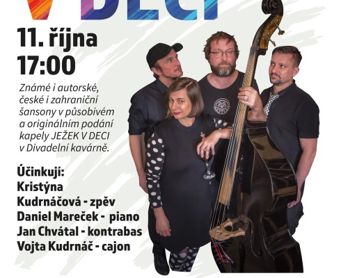 JEŽEK V DECI