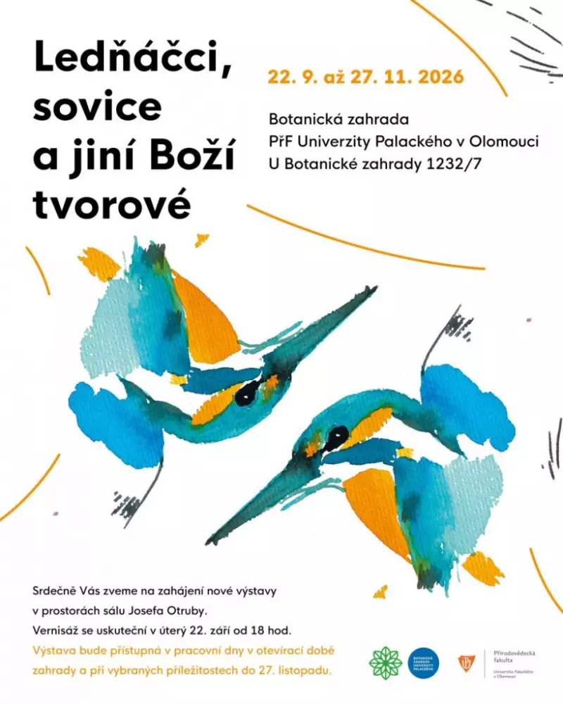 Ledňáčci, sovice a jiní Boží tvorové