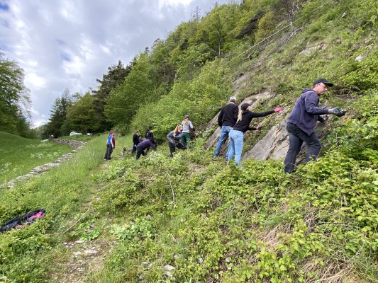 Natur z'Khur: Action for the Nature Paradise Schotsch