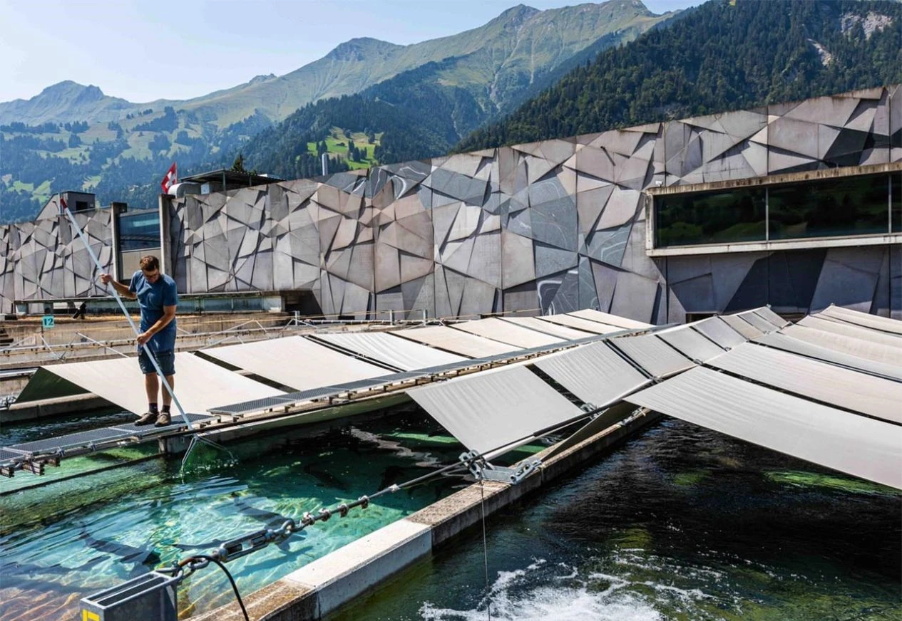 Encounter in a glass - meet the producer / Oona Caviar