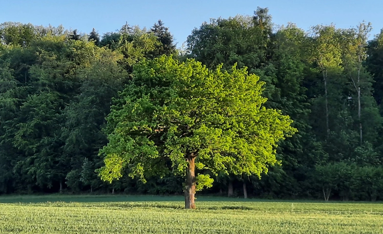 Selbstfürsorge zum Jahresende