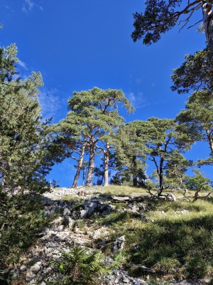 4 hiking days in the Thal Nature Park