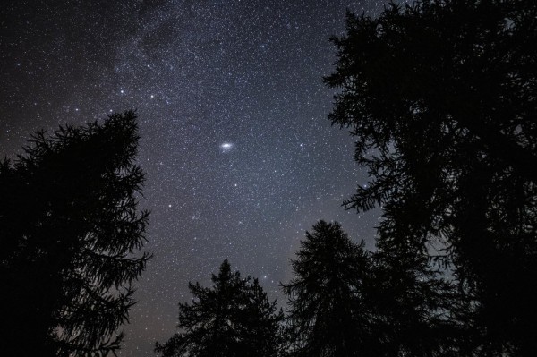 Night Hike for Families with Children from 4 Years Old