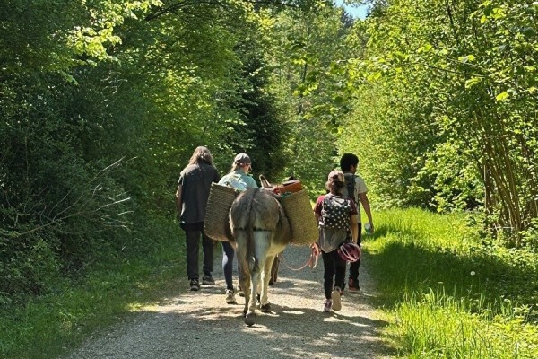 Pony and Donkey Day